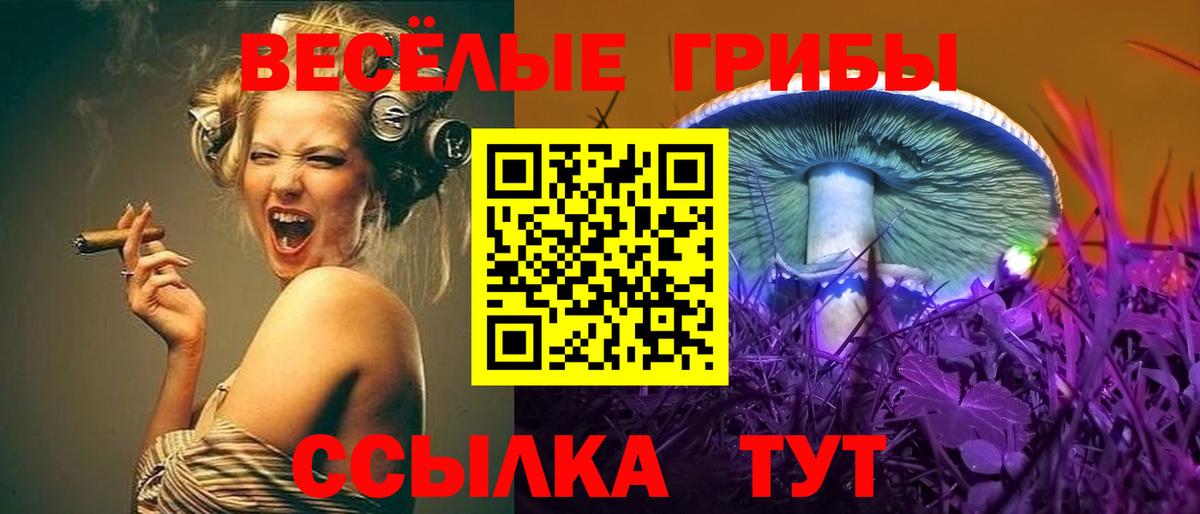 Галлюциногенные грибы ЛСД  Вход с VPN  Киселёвск 